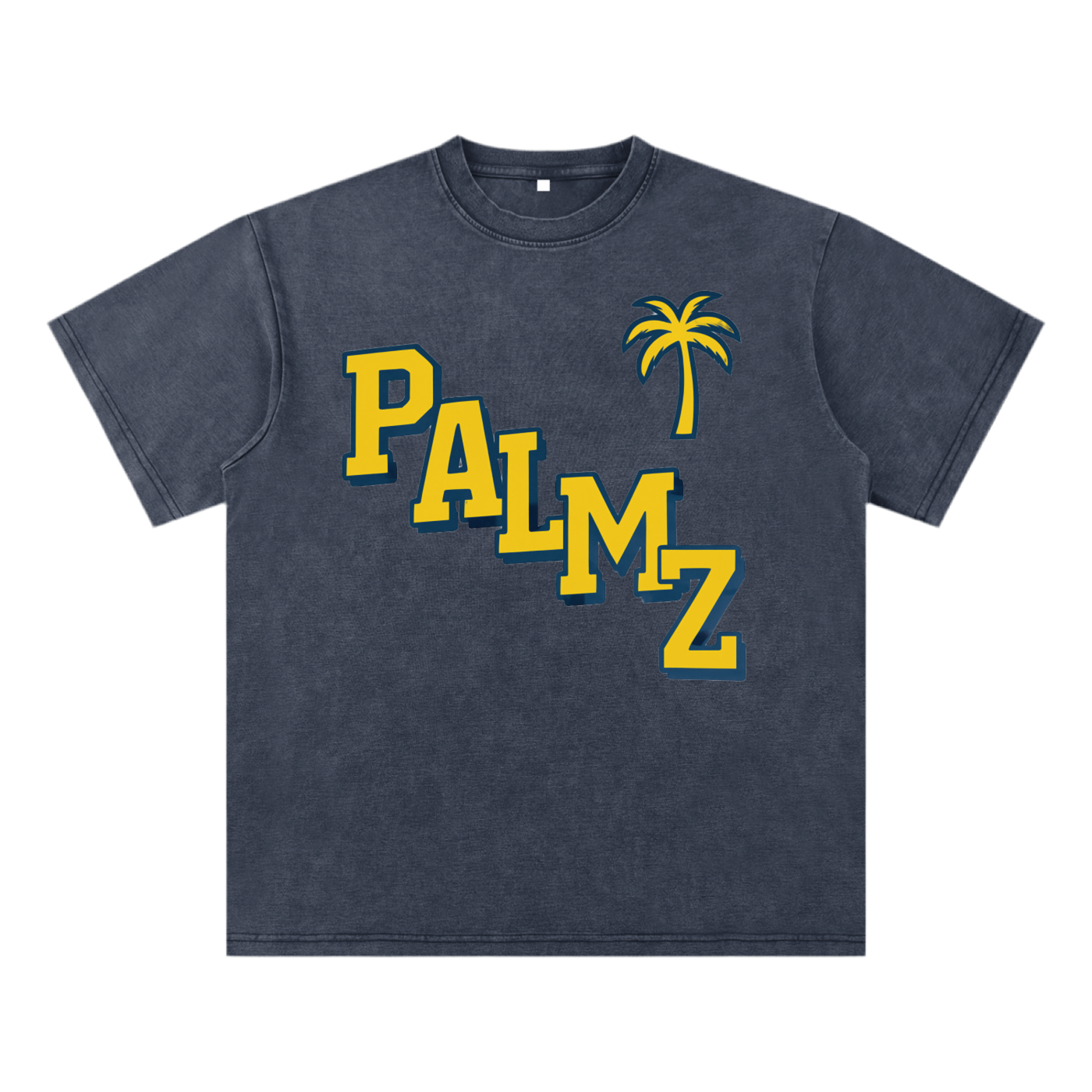 PALMZ Vintage Tee (UofM Edition)