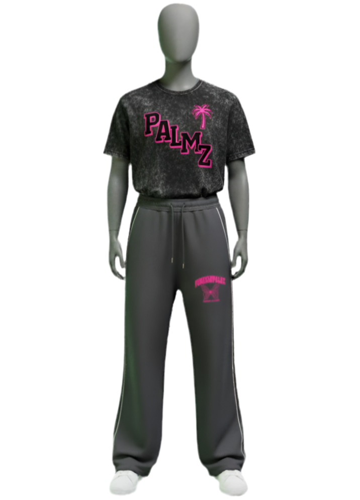 Woman’s PALMZ Vintage Tee (