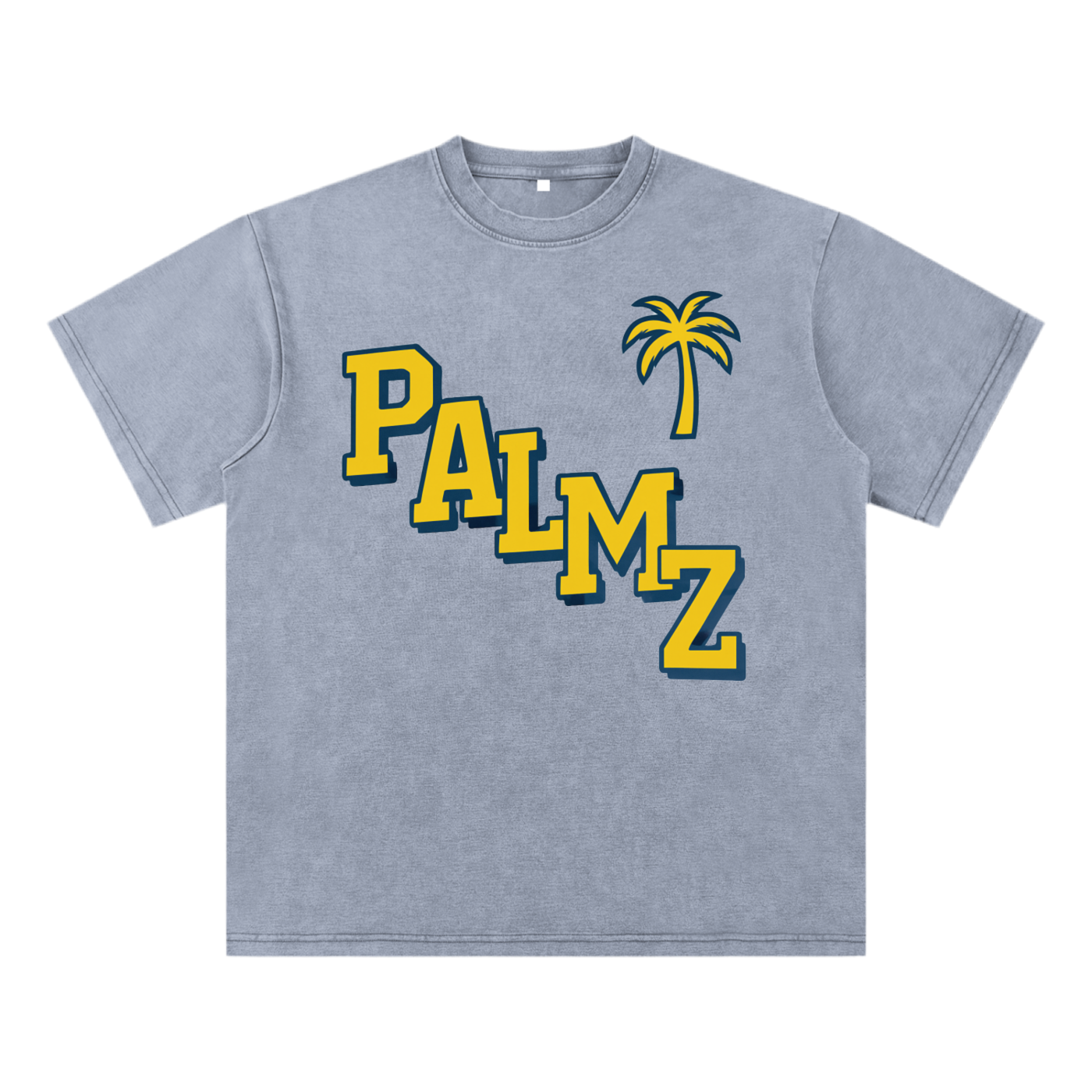 PALMZ Vintage Tee (UofM Edition)