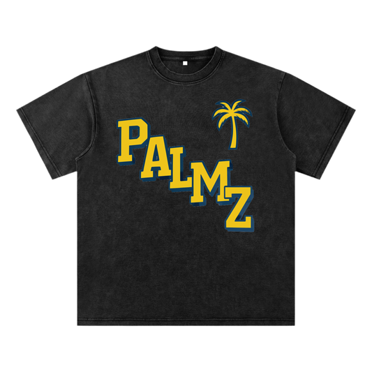 PALMZ Vintage Tee (UofM Edition)