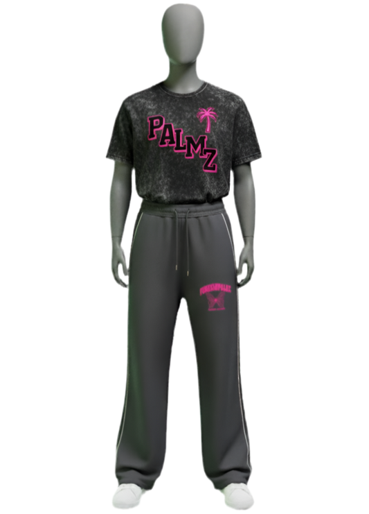 Woman’s PALMZ Vintage Tee (